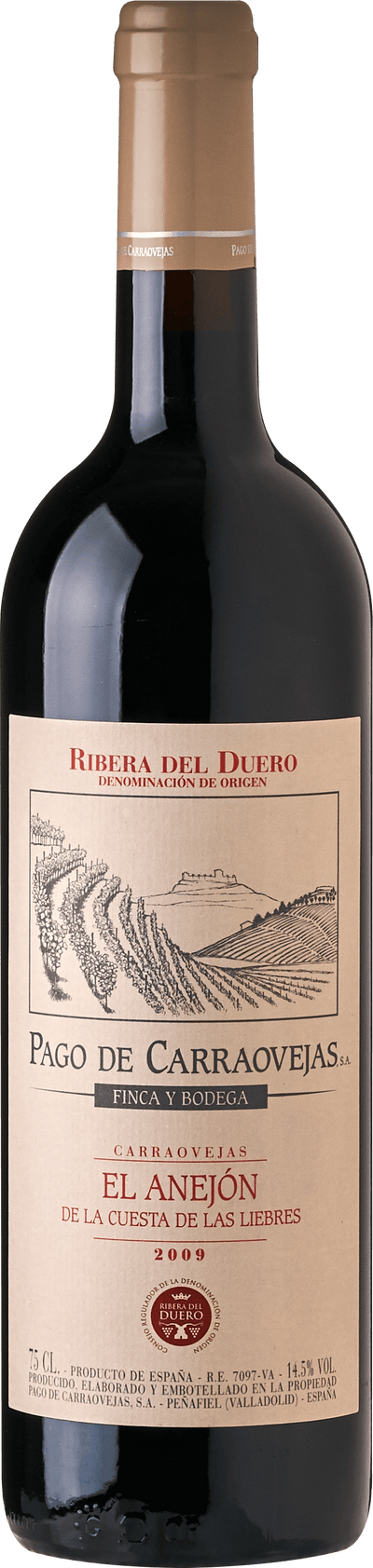 El Anejón Ribera del Duero