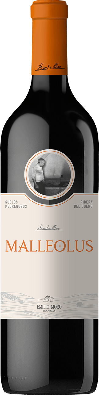 Malleolus Ribera del Duero Magnum