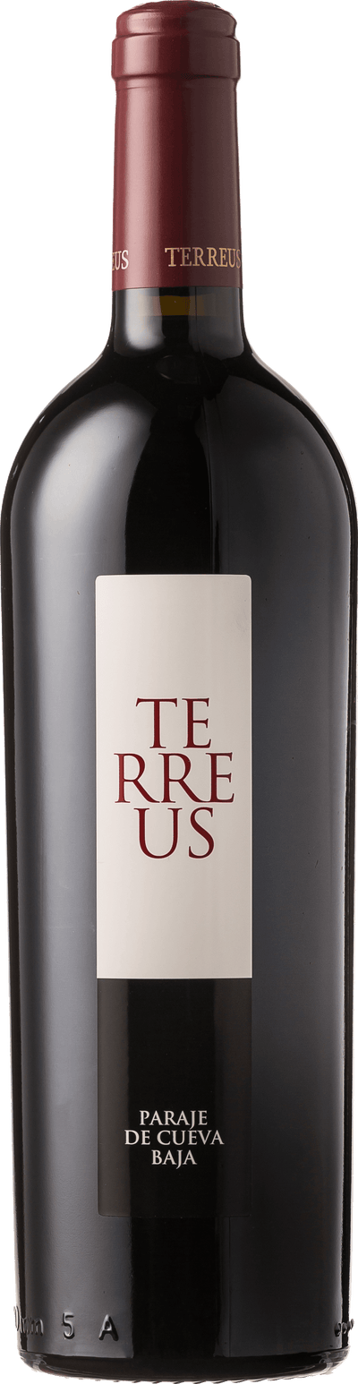 Mauro Terreus