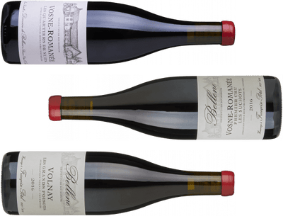 Smagekasse - Vin For Begyndere - Bourgogne
