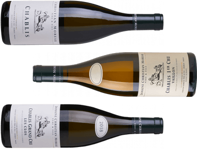 Smagekasse - Vin for Begyndere - Chablis