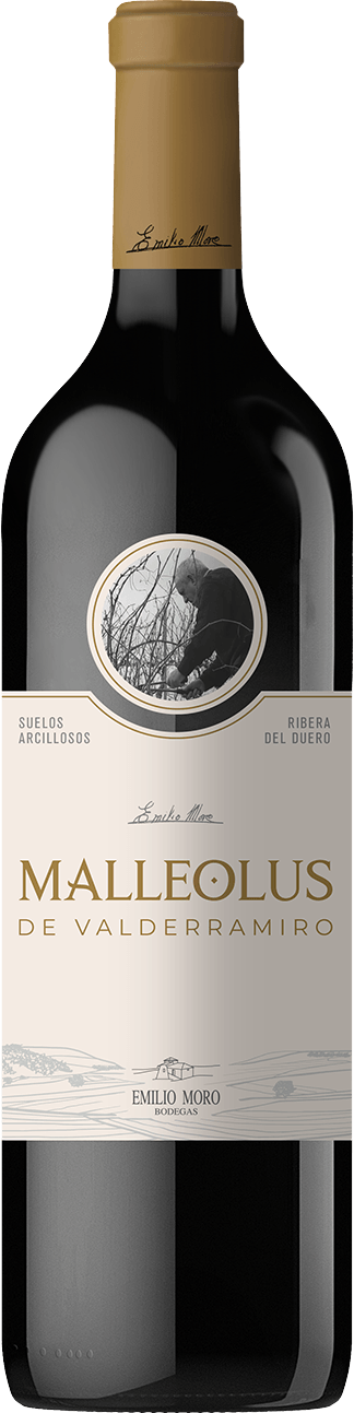 Malleolus de Valderramiro Ribera del Duero