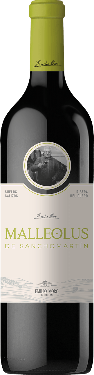 Malleolus de Sanchomartín Ribera del Duero