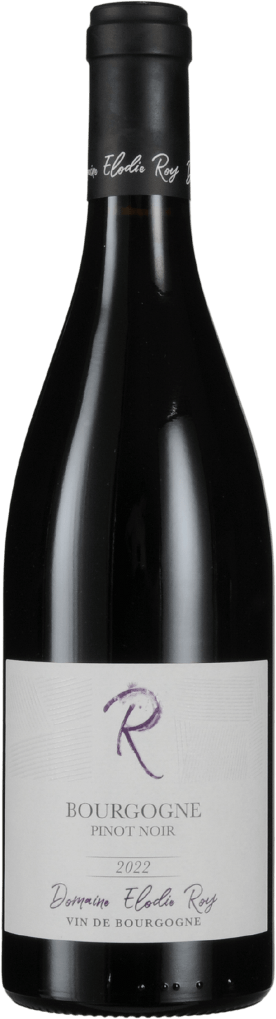 Bourgogne Pinot Noir