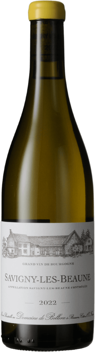 Savigny-lès-Beaune Blanc