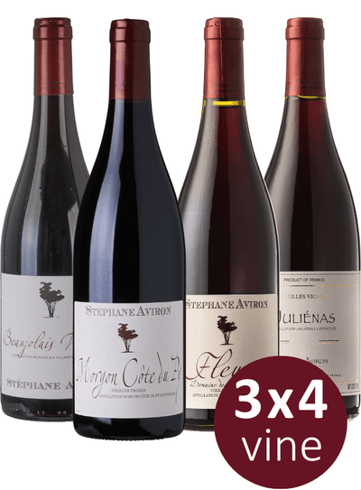Det bedste fra Beaujolais (12 fl.)